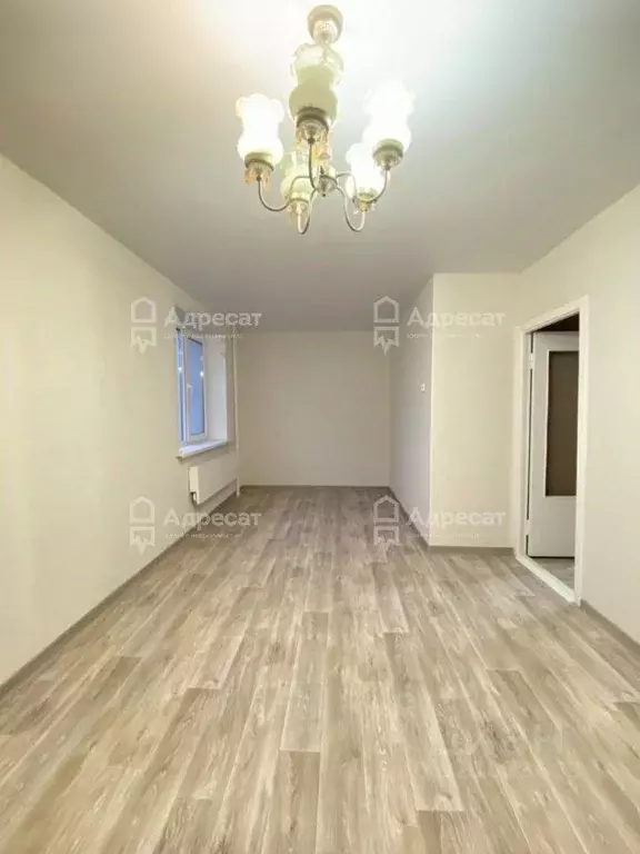 1-к кв. Волгоградская область, Волгоград Семь Ветров мкр, ул. ... - Фото 2