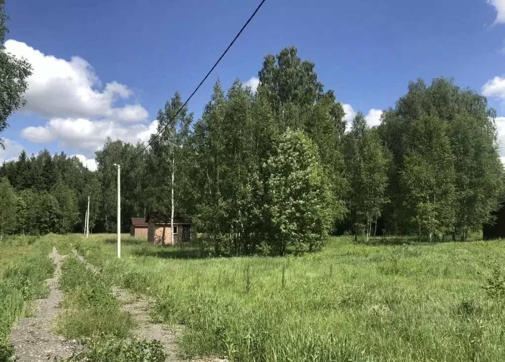 Участок в Московская область, Волоколамский муниципальный округ, д. ... - Фото 1