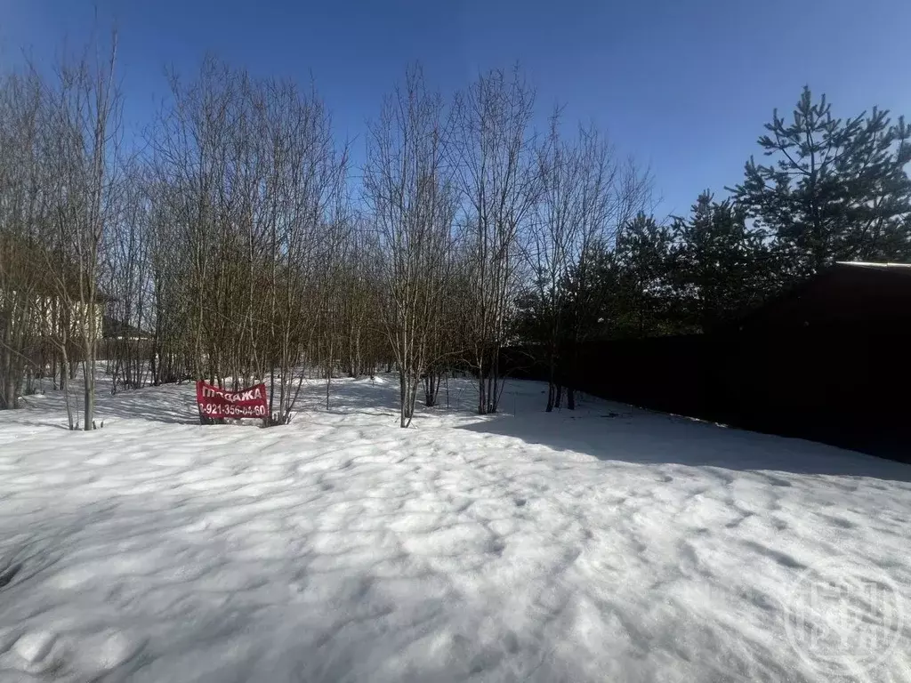 Участок в Ленинградская область, Ломоносовский район, Ропшинское ... - Фото 2