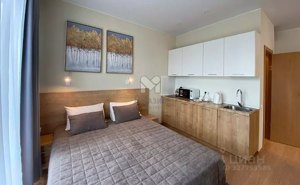 Студия Санкт-Петербург ул. Архивная, 3к1 (27.95 м) - Фото 1