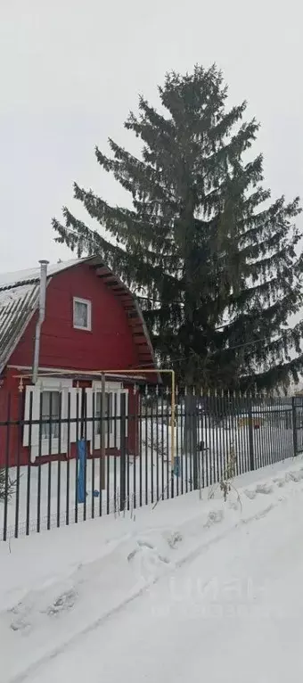 Дом в Омская область, Омск СНТ Ромашка ТСН, аллея 6-я, 31 (35 м) - Фото 1