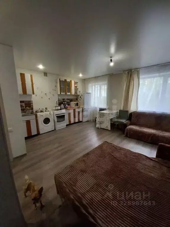 Студия Алтай, Майминский район, с. Майма ул. Строителей (28.0 м) - Фото 2