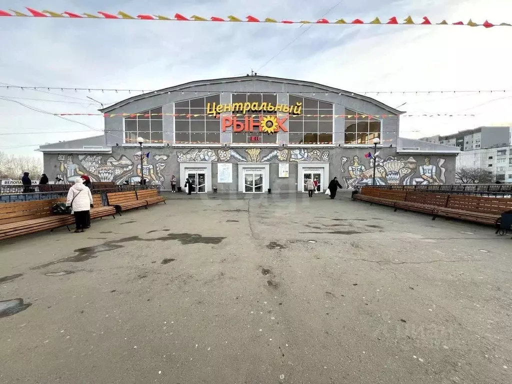 Склад в Курганская область, Курган ул. Куйбышева, 74с13 (162 м) - Фото 1