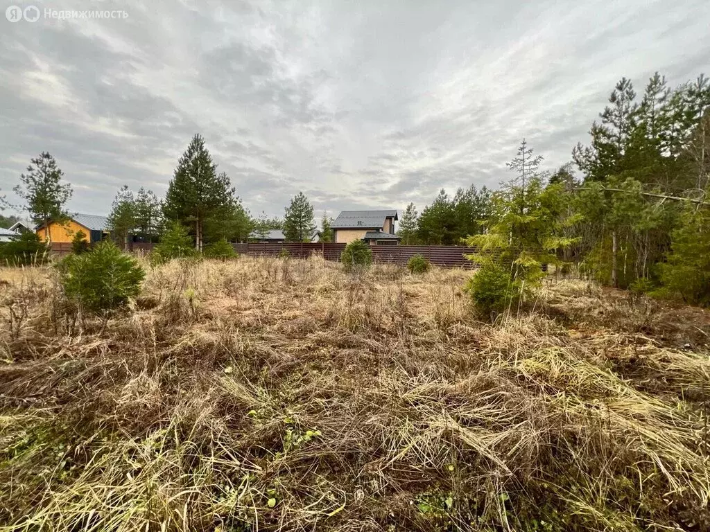 Участок в Московская область, городской округ Ступино, КП Сосны ... - Фото 1