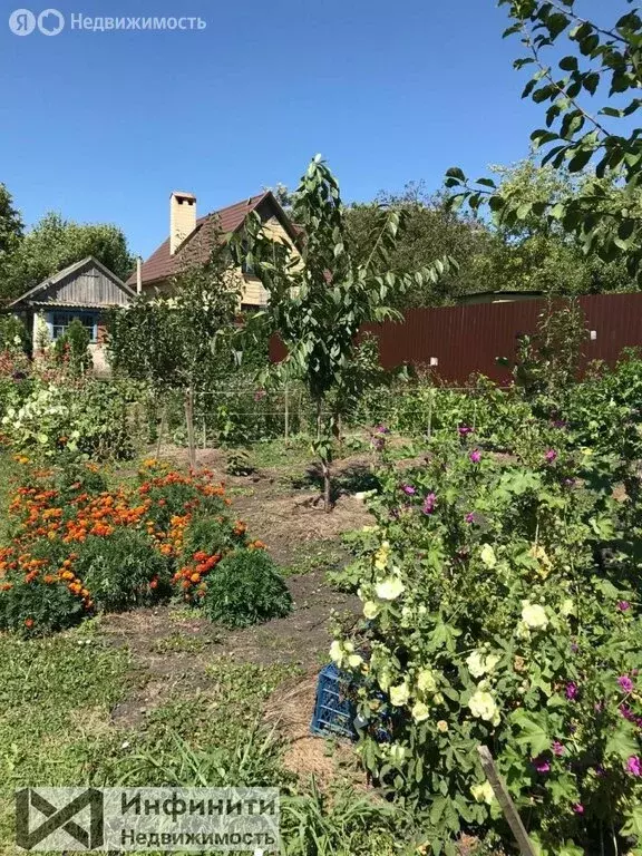 Участок в Ставрополь, СНТ имени Советской Армии, 273 (7.6 м) - Фото 1