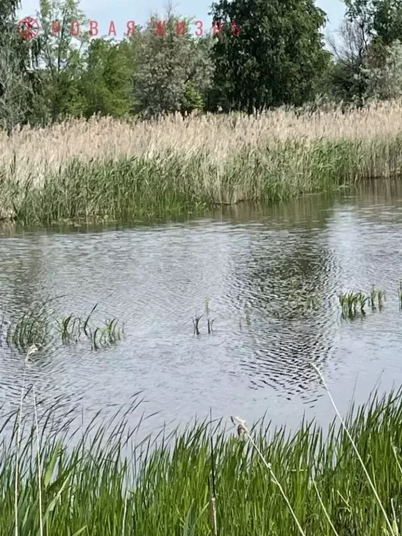 Участок в Самарская область, Кинель Радуга кп, проезд Конный (5.0 ... - Фото 2