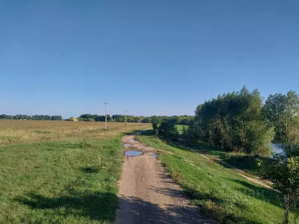 Участок в Новосибирская область, Новосибирский район, Морской ... - Фото 1