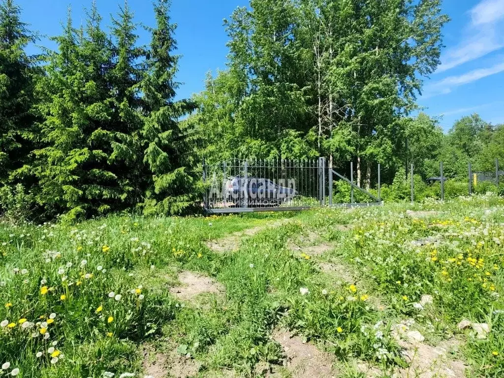 Участок в Ленинградская область, Приозерский район, Ромашкинское ... - Фото 2