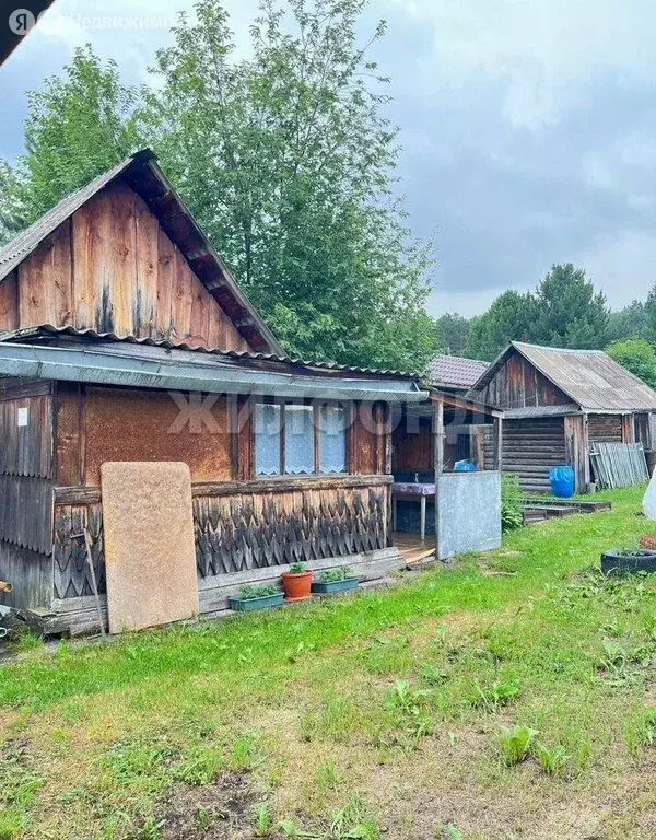Дом в Томск, СНТ Медик-2, 2-я Дачная улица (25 м) - Фото 2