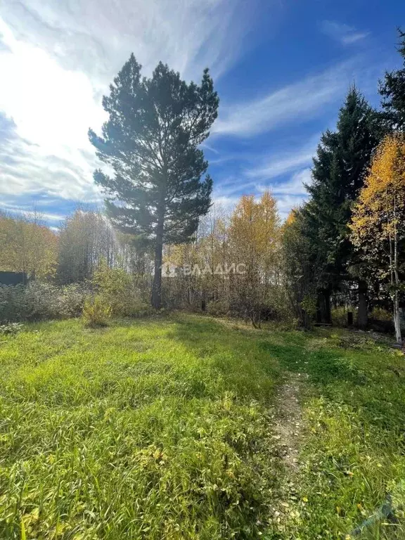 Дом в Иркутская область, Иркутский муниципальный округ, Спецстроевец ... - Фото 2
