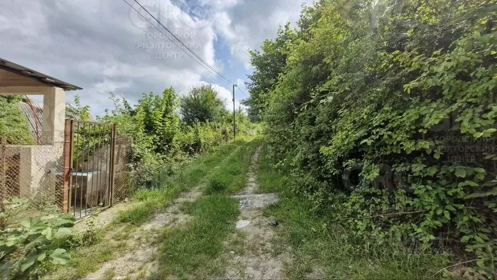 Участок в Краснодарский край, Сочи городской округ, с. Верхний Юрт ул. ... - Фото 2