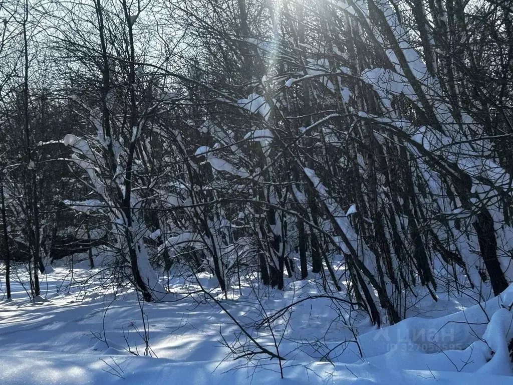 Участок в Московская область, Ступино городской округ, с. Хонятино  ... - Фото 1