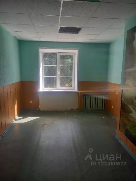 Помещение свободного назначения в Удмуртия, Глазов ул. Кирова, 6 (15 ... - Фото 0