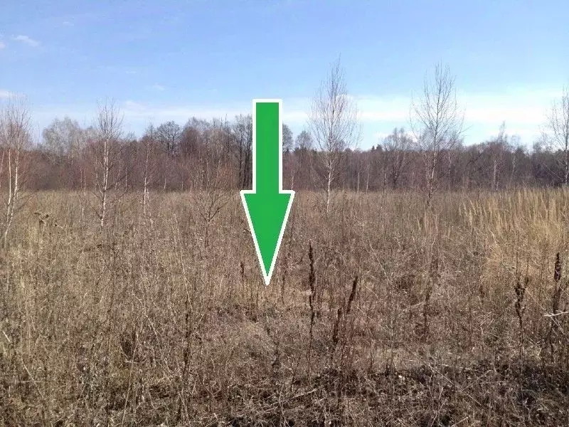 Участок в Калужская область, Тарусский муниципальный округ, Волковское ... - Фото 1