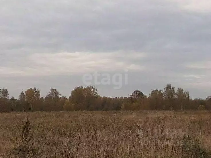 Участок в Татарстан, Зеленодольский район, Айшинское с/пос, с. Айша  ... - Фото 0