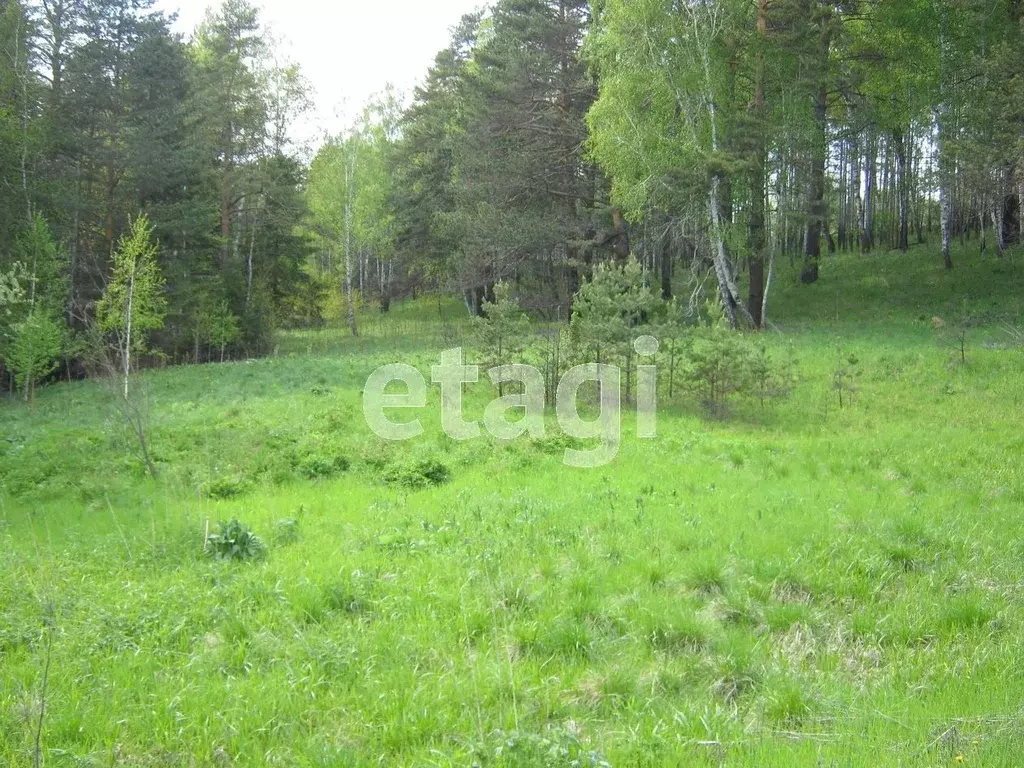 Участок в Красноярский край, Красноярск городской округ, Березовка ... - Фото 1