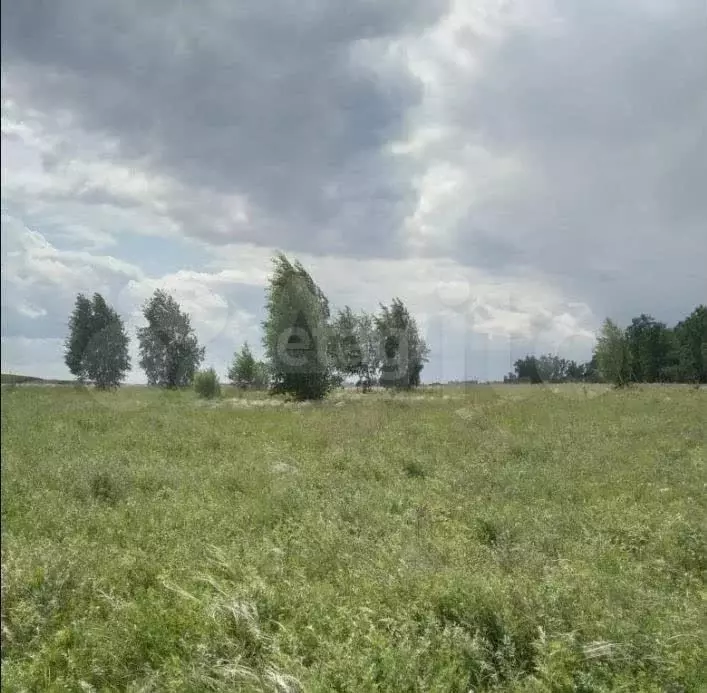 Участок 1,45 га (СНТ, ДНП) - Фото 1
