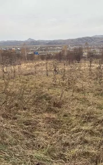 Участок в Алтай, Майминский район, с. Майма ул. Энергетиков (12.0 ... - Фото 1