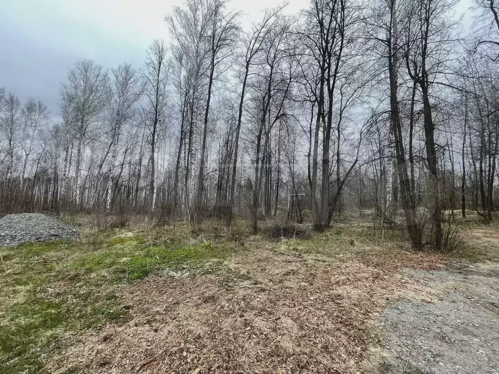 Участок 10 сот. (СНТ, ДНП) - Фото 1