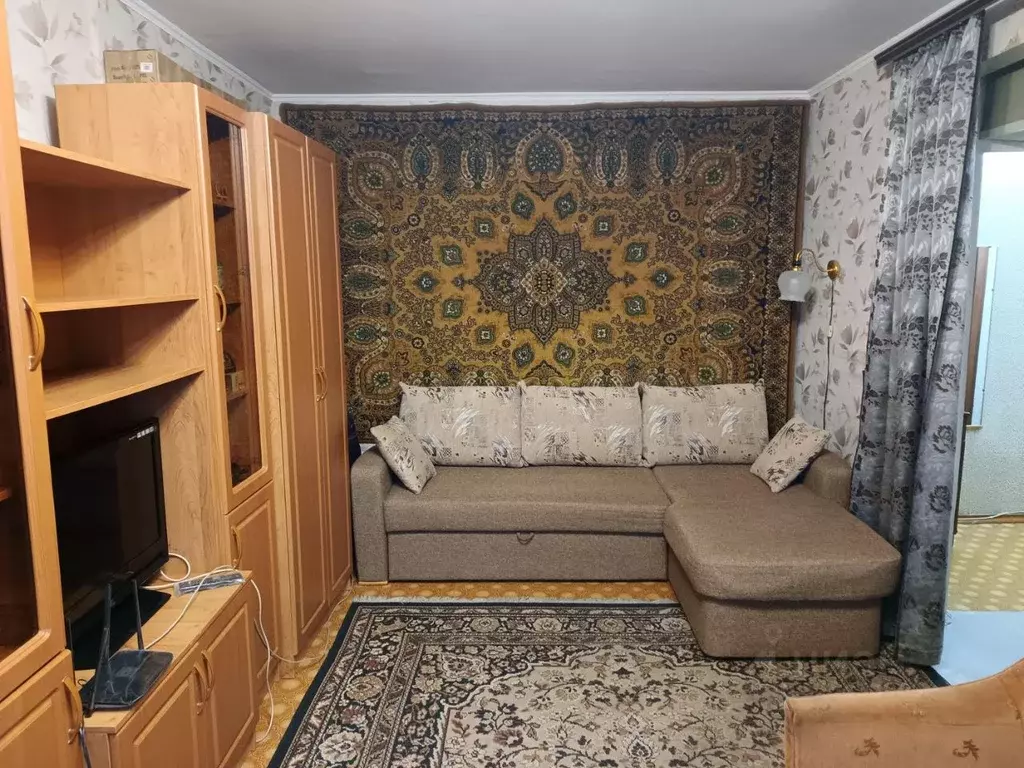 1-к кв. Московская область, Ногинск Богородский городской округ, ш. ... - Фото 2