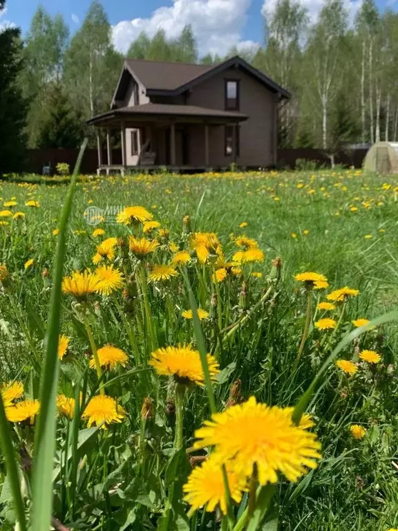 Дом в Московская область, Клин городской округ, д. Селевино ул. ... - Фото 2
