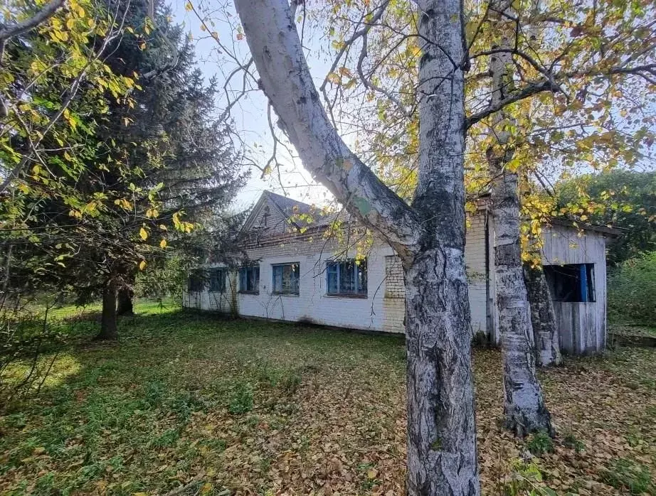 Помещение свободного назначения в Амурская область, Архаринский ... - Фото 1