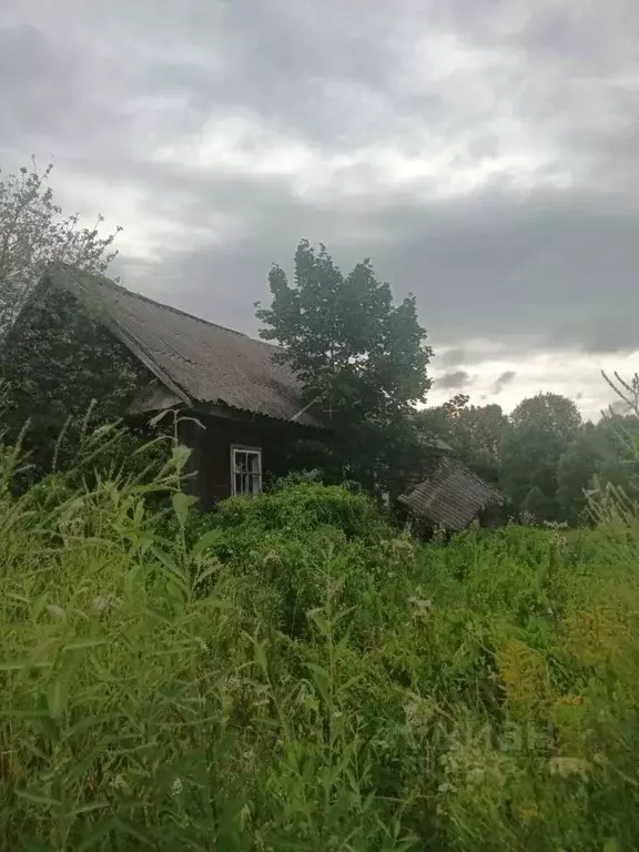 Дом в Новгородская область, Новгородский район, Савинское с/пос, д. ... - Фото 1