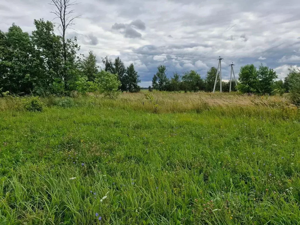 Участок в Московская область, Ступино городской округ, Малино пгт, д. ... - Фото 1