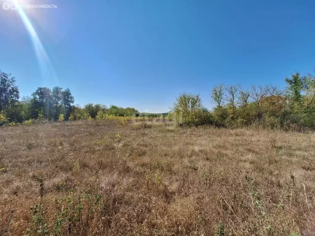 Участок в Семилукский район, село Девица (18 м) - Фото 0