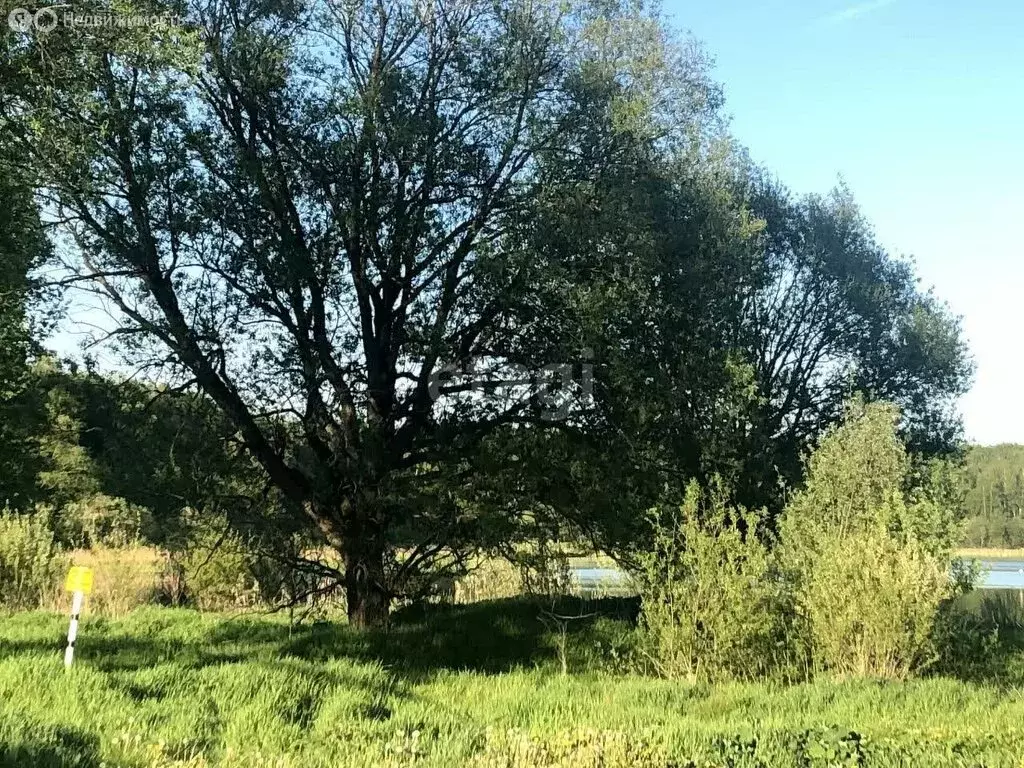 Участок в Ярославский муниципальный округ, село Толбухино (19.3 м) - Фото 1
