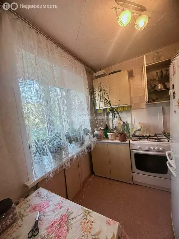 2-комнатная квартира: Владимир, Суздальский проспект, 21 (44.5 м) - Фото 1
