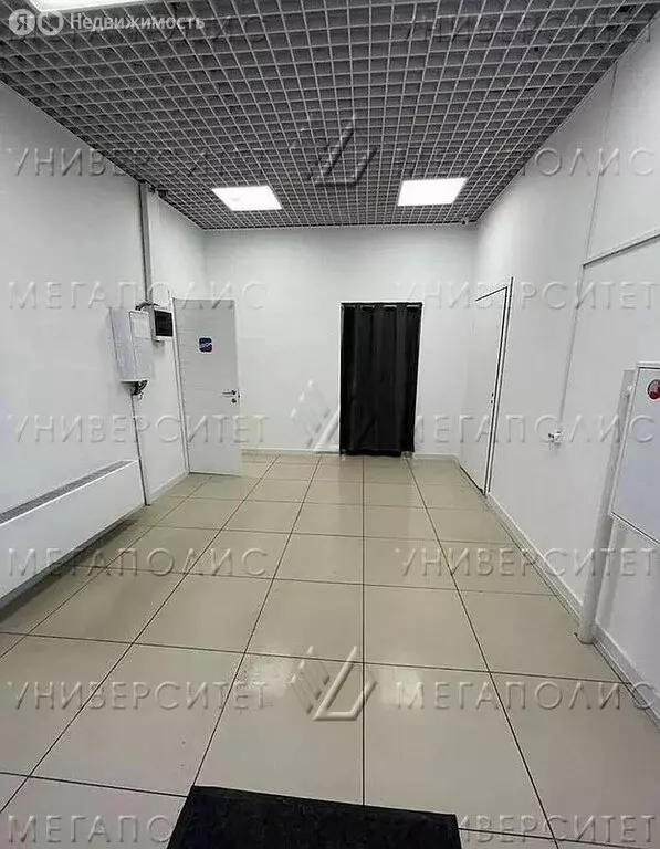 Помещение свободного назначения (81 м) - Фото 2
