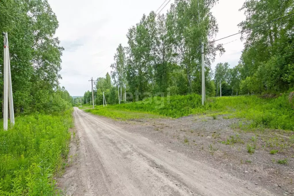 Участок в Новосибирская область, Новосибирский район, Барышевский ... - Фото 1