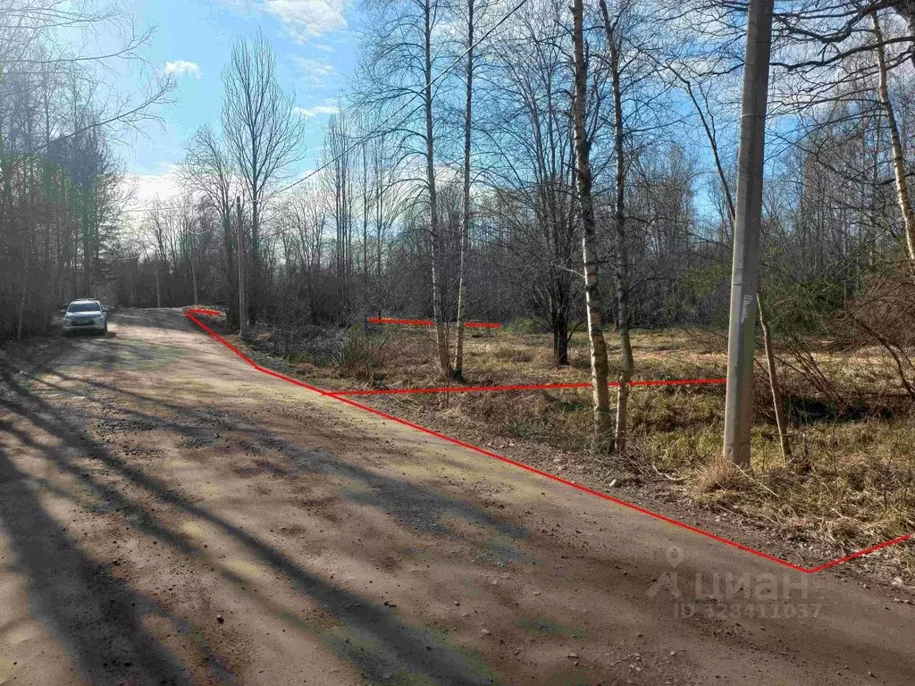 Участок в Ленинградская область, Приозерский район, Ларионовское ... - Фото 2
