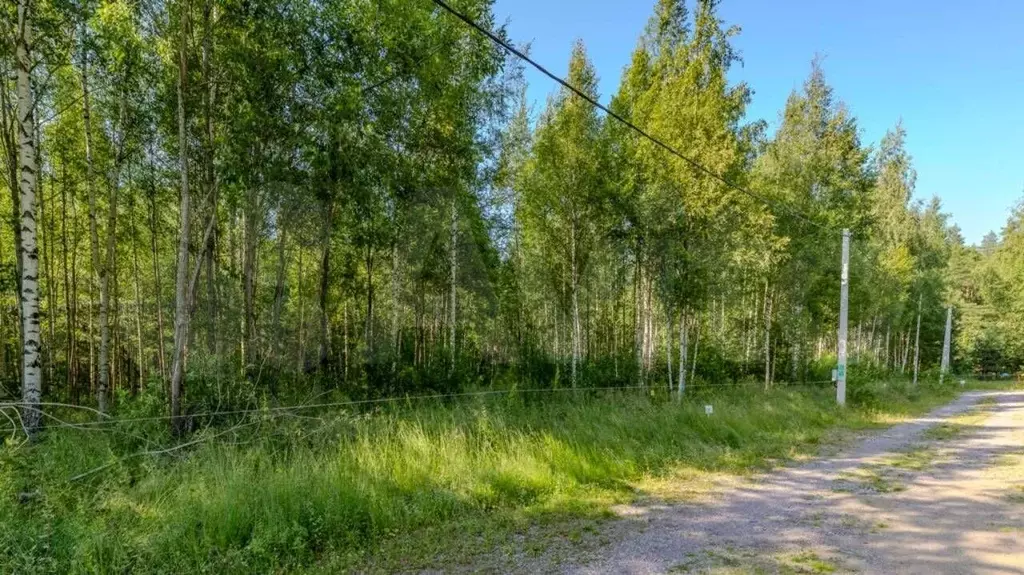 Участок 13,9 сот. (СНТ, ДНП) - Фото 1