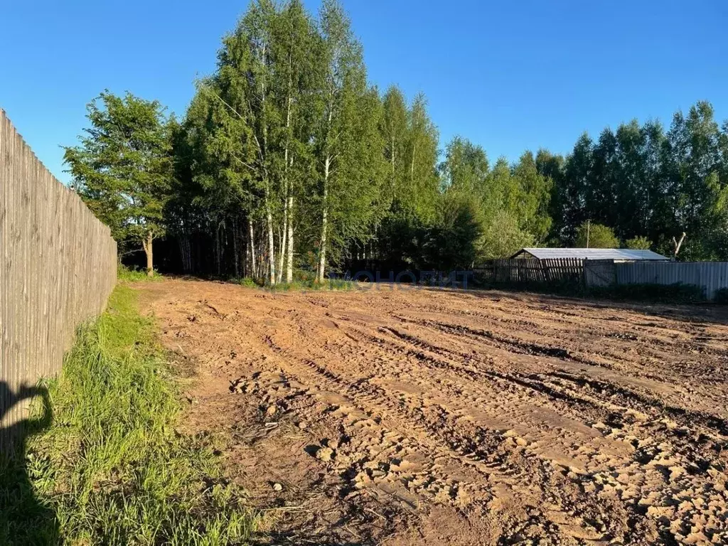 Участок в Нижегородская область, Богородский муниципальный округ, д. ... - Фото 1