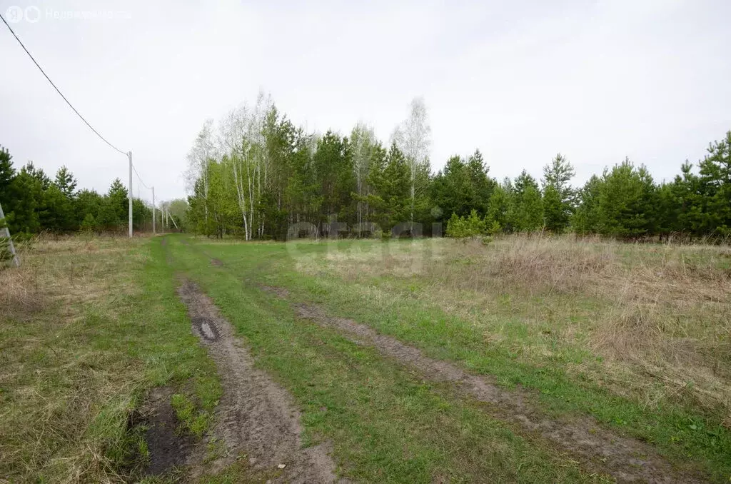 Участок в Заводоуковск, СНТ Колос (14.6 м) - Фото 1