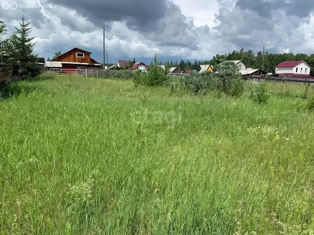 Участок в Большееланское муниципальное образование, ДНТ Калиновка, ... - Фото 1