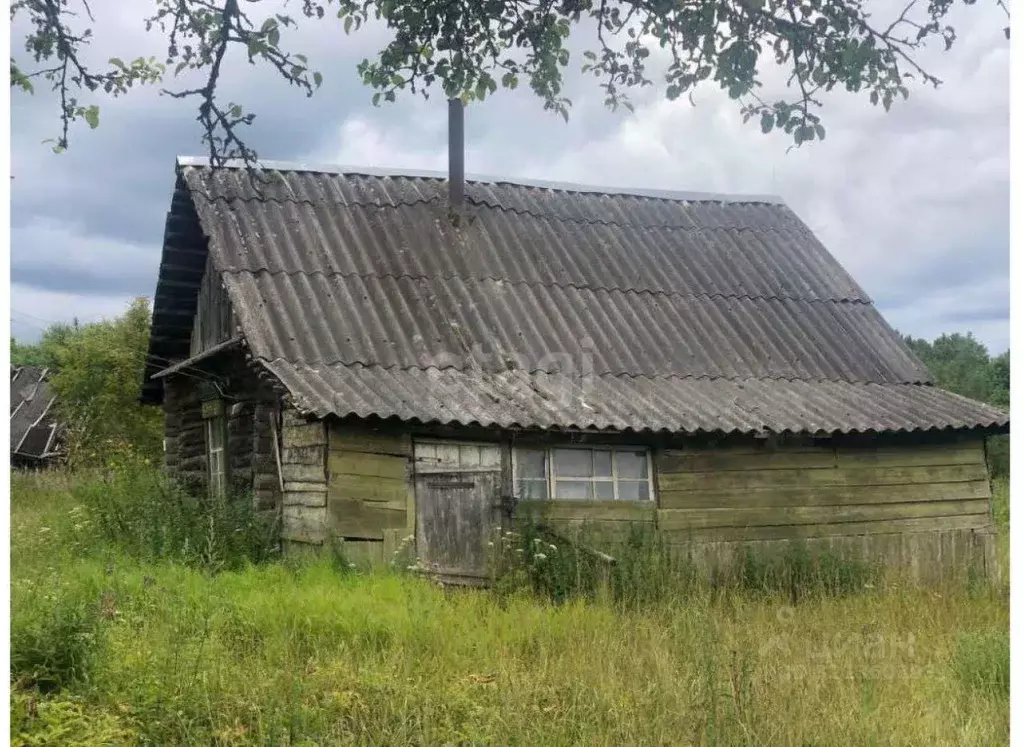 Участок в Псковская область, Невельский муниципальный округ, д. ... - Фото 1