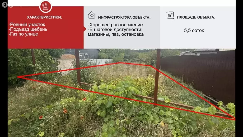 Участок в Белгородская область, Яковлевский муниципальный округ, ... - Фото 2