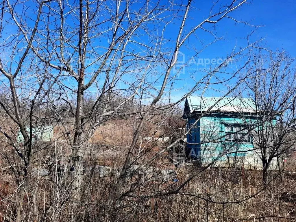 Участок в Волгоградская область, Волгоград Мичуринец СНТ,  (7.98 сот.) - Фото 1