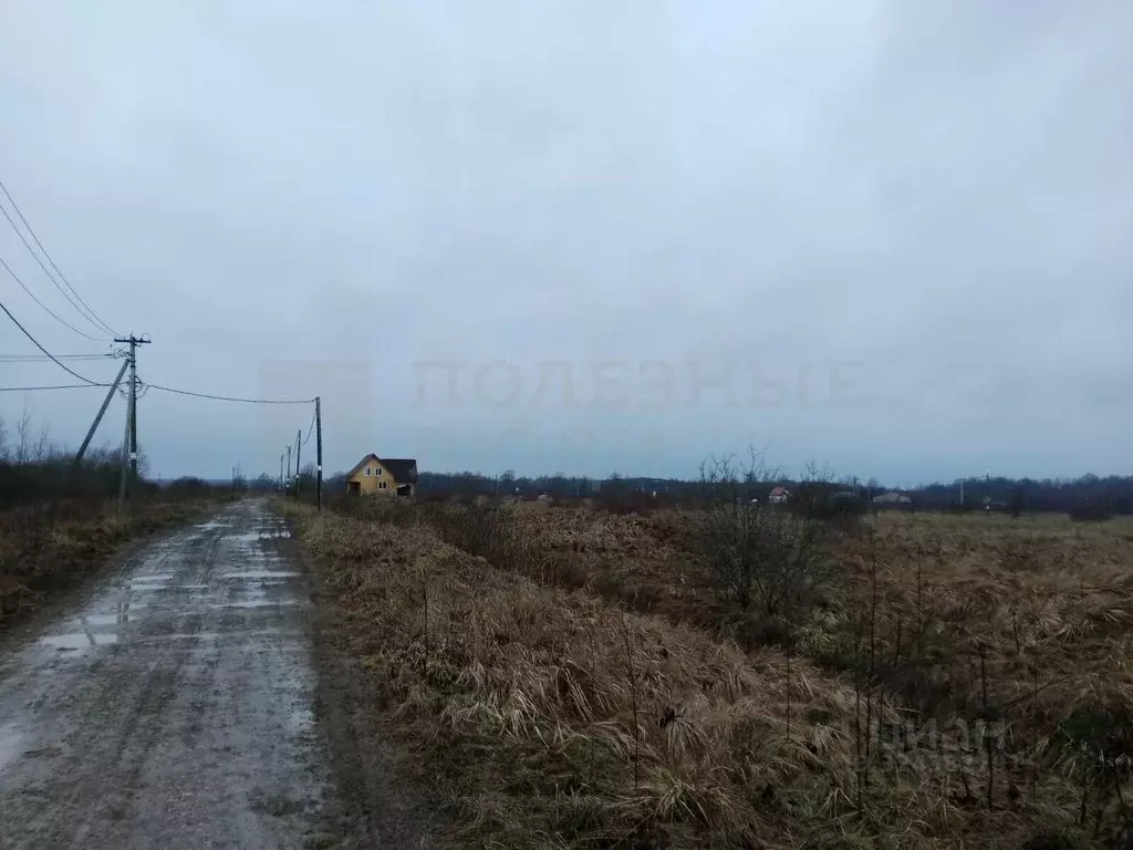 Участок в Новгородская область, Шимский район, Подгощское с/пос, с. ... - Фото 2