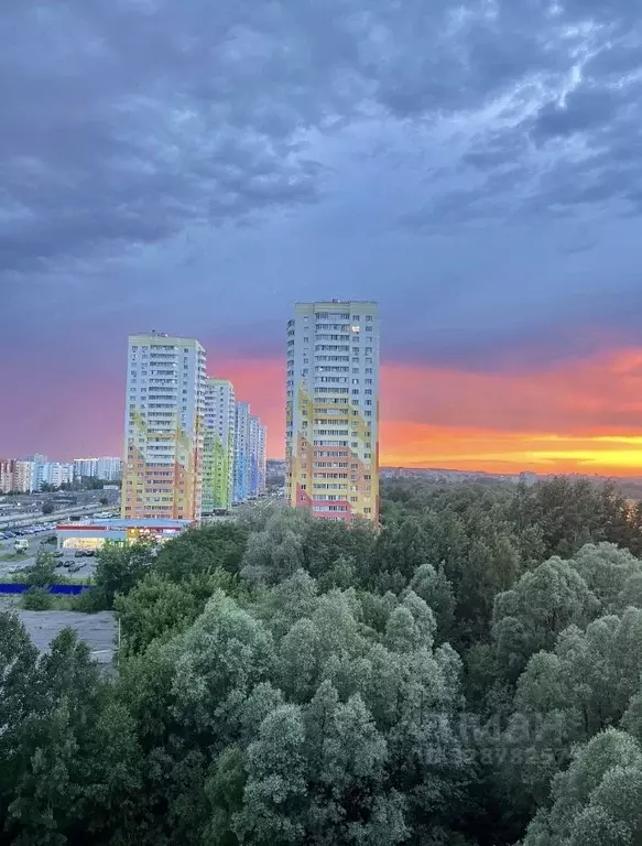 Студия Пензенская область, Пенза ул. Антонова, 5Д (28.0 м) - Фото 1