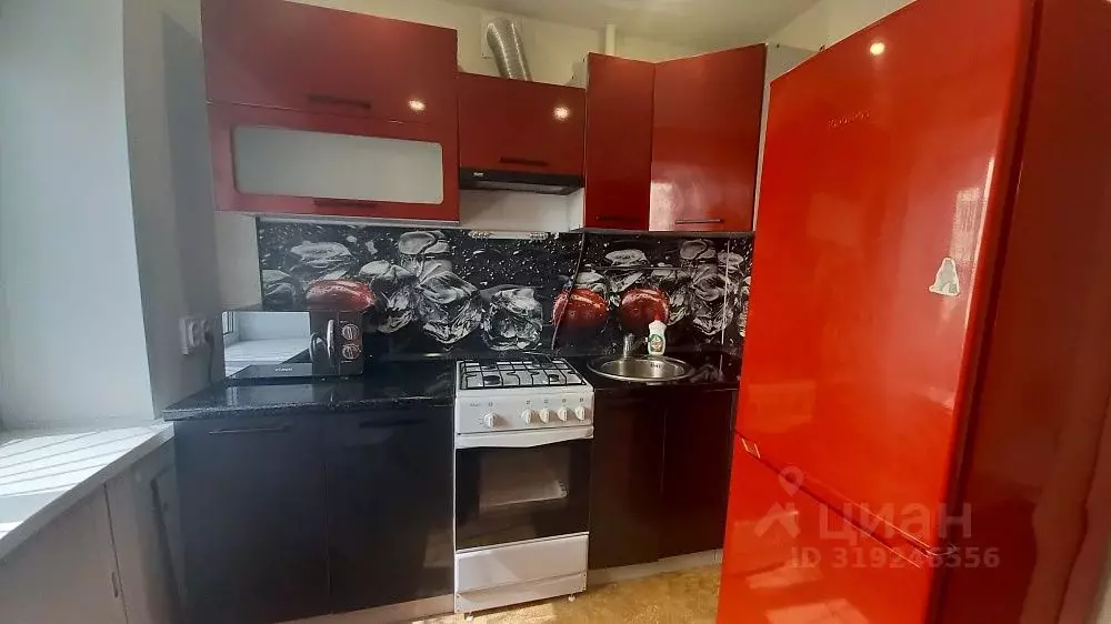 1-к кв. Ярославская область, Ярославль ул. Кудрявцева, 15а (31.0 м) - Фото 2