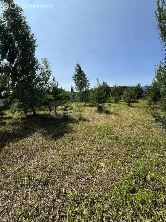Участок в сельское поселение Волковское, СНТ Звезда (10 м) - Фото 0