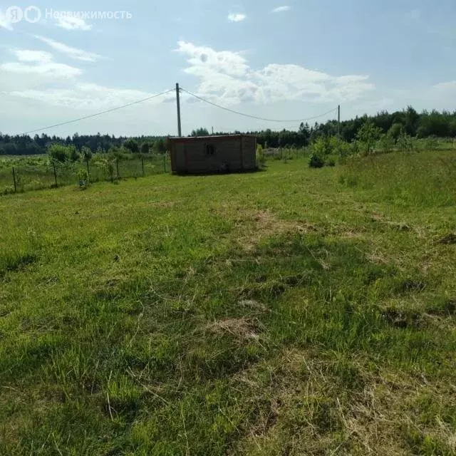 Участок в Волосовский район, деревня Бегуницы (30 м) - Фото 1