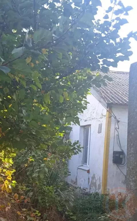 Дом в Крым, Сакский район, Добрушинское с/пос, с. Елизаветово  (65 м) - Фото 1