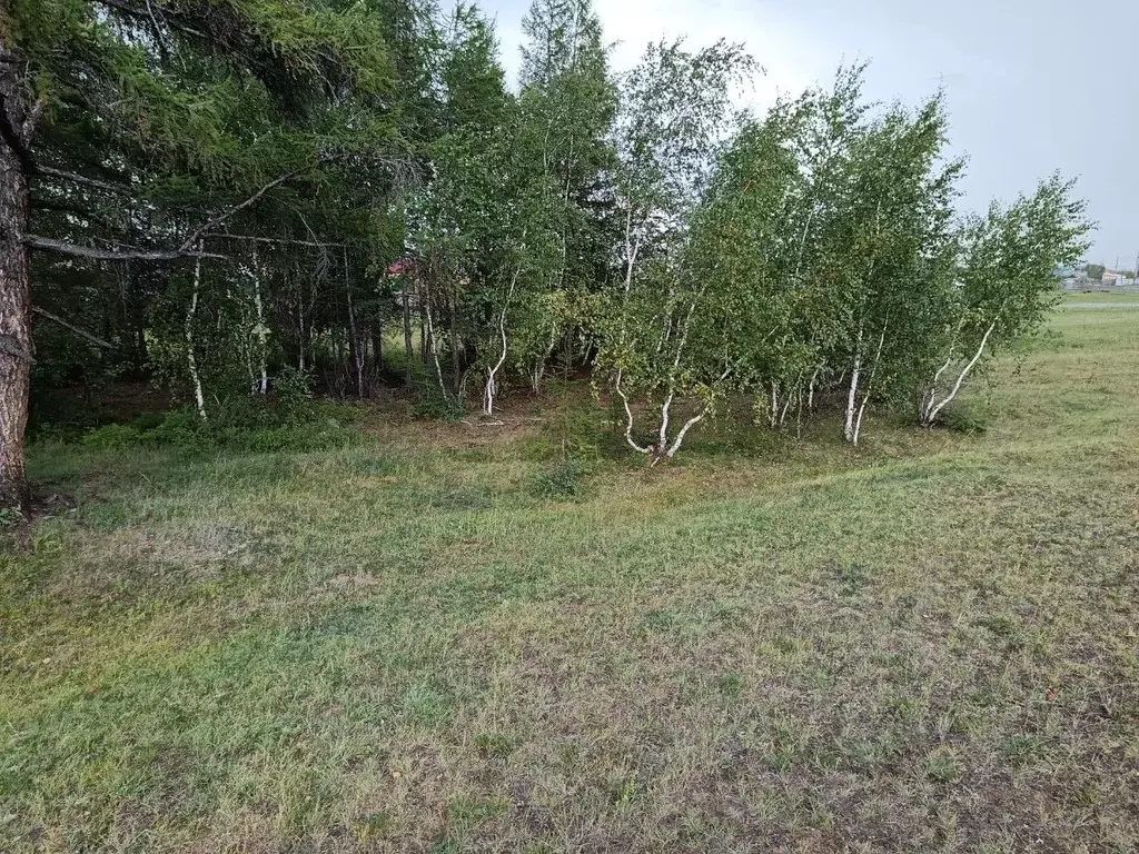 Участок в Саха (Якутия), Якутск городской округ, с. Сырдах  (10.0 ... - Фото 1
