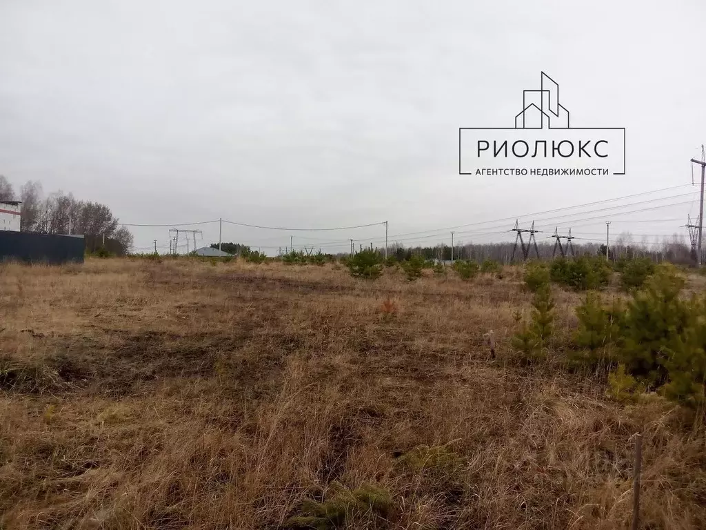 Участок в Челябинская область, Сосновский район, Кременкульское с/пос, ... - Фото 0