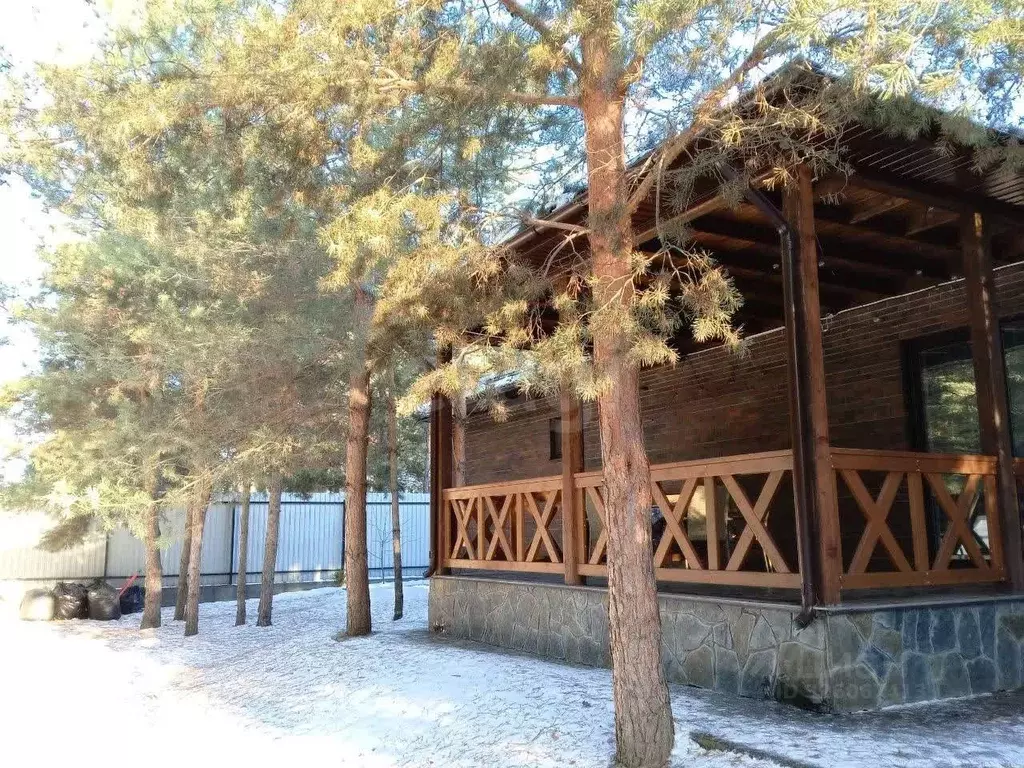 Дом в Воронежская область, Рамонский район, Новоживотинновское с/пос, ... - Фото 1